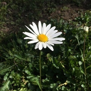 中国語教室の画像