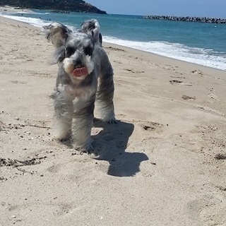 犬友ライン友達募集です！