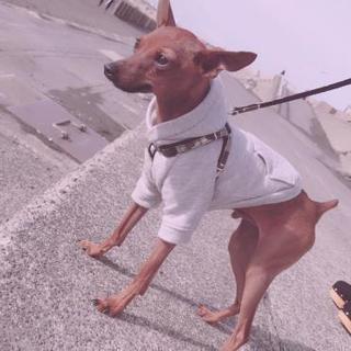 女性限定お友達募集✨