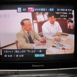 あげます。パナソニック　ブラウン管テレビ　TH－２１ＦＡ８　引取り専用の画像