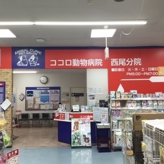 トリミング、犬猫の生体販売などのスタッフ募集！
