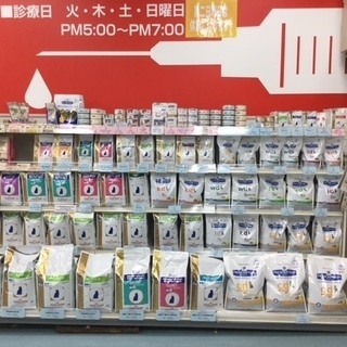 トリミング、犬猫の生体販売などのスタッフ募集！の画像