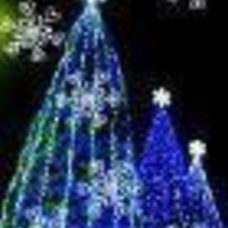 【締切御礼】12/22(土)　ボランティアさん募集