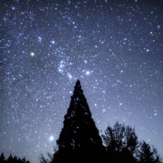 星の撮影してみませんか(*^▽^*)
