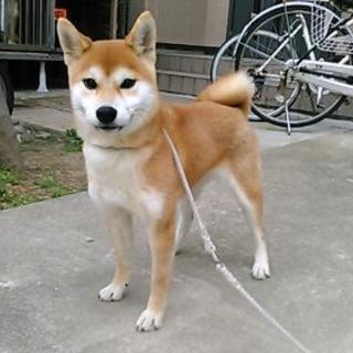 元気な女の子♪