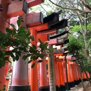 御朱印仲間など色々な趣味まったりした仲間募集(^-^)