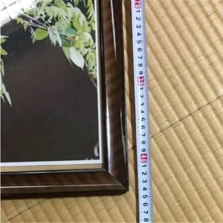 額入りの鳥の写真の画像