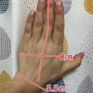 SIMPSONレディースバイク用グローブWMサイズ ブラックの画像