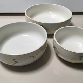 イタリア製 三揃い磁器ボウル  FIRENZE PATRIZIA...