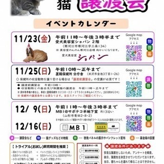保護猫の譲渡会🐈🐾🐾