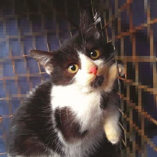 家族にしてね💖