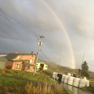 ★北海道の牧場スタッフ大募集中！酪農バブル期の今、カバン１つで移...