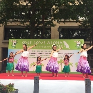 フラダンス教室 ラニカイフラスタジオ湘南台教室