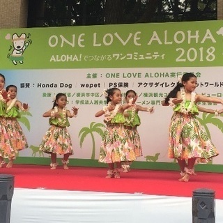 フラダンス教室 ラニカイフラスタジオ湘南台教室の画像