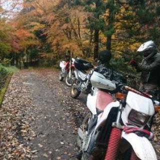 オフロードバイク  爽やか林道専門！ビックオフ&初心者歓迎      爽やか林道ﾂｰﾘﾝｸﾞへGo！    - その他