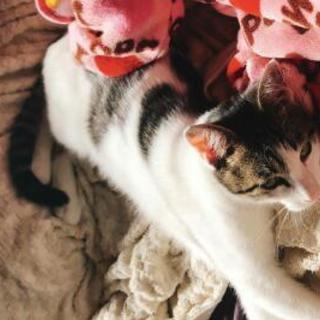 生後３ヶ月半前後の男の子(  ^ ^)