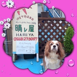 スタッフ募集アルバイト!キッチン!客室清掃等各種の画像