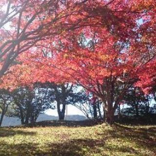 ☆広島で友だちになってくれる方☆ - 広島市