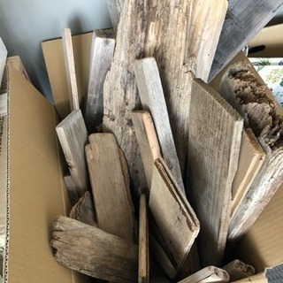 和歌山の流木の画像