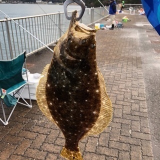 釣り友達募集