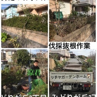 お庭の木の剪定 伐採致します 庭の手入れ店【所沢市 狭山市川越市さいたま市~】 - 便利屋