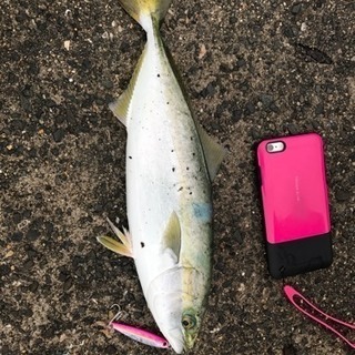 海釣り仲間募集中