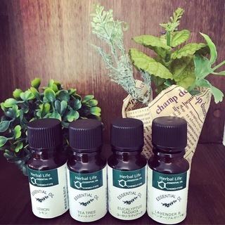 今月の「アロマヨガ」は免疫強化の画像