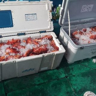 別府湾から瀬戸内海、豊後水道の釣り