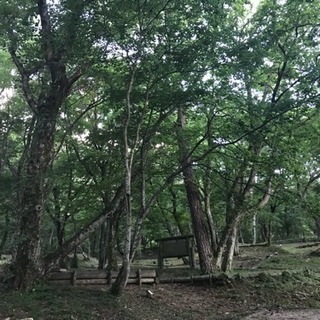 メンバー募集！楽しく！ - 友達