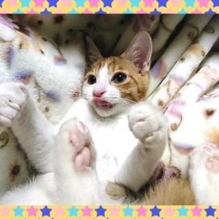 川越・小江戸蔵里にて♪ずっとの家族とお幸せに☆