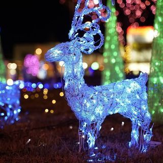 SONY α7Ⅱ ボディー単体*保護フィルム付き　