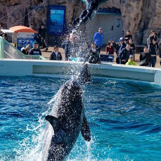 SONY α7Ⅱ ボディー単体*保護フィルム付き　