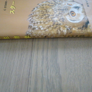 スター 生物学 東京化学同人 中古の画像