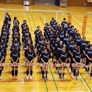 調布 ママさんバレー 部員募集