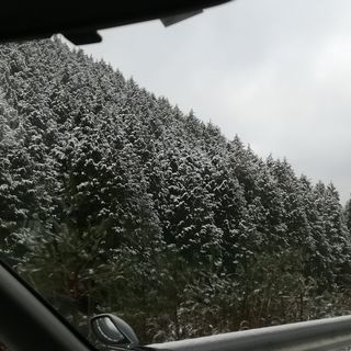 スキー・スノボ仲間集まれ！ - 広島市