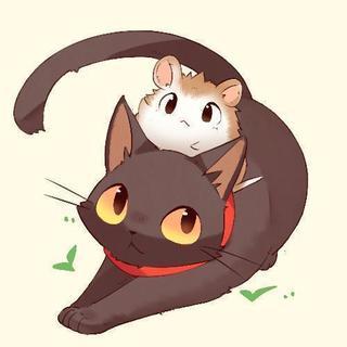 迷える子羊よ🐑