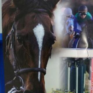 【キタサンブラック！】平成最後の有馬記念レープロの画像