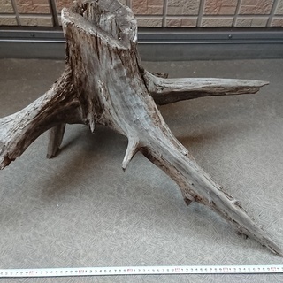自然流木　大きめ