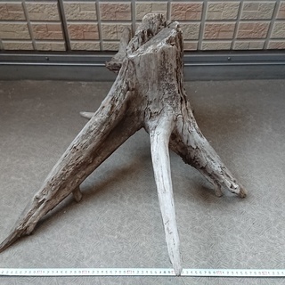 自然流木　大きめの画像