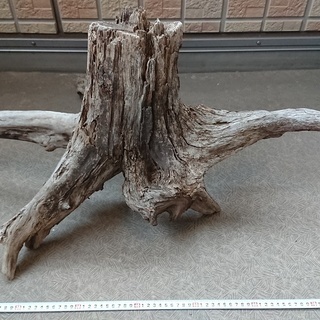 自然流木　大きめの画像
