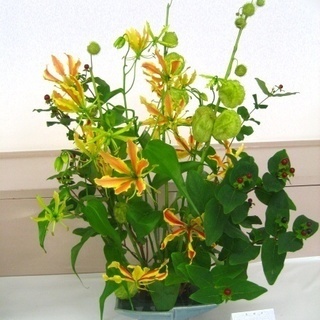 朝霞で生け花　【華道　若葉会　日本古流】　初心者大歓迎！