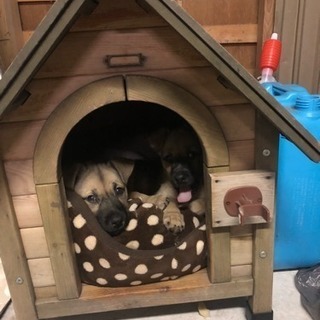 北斗便利屋です