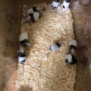 お陰様で終了致しました！