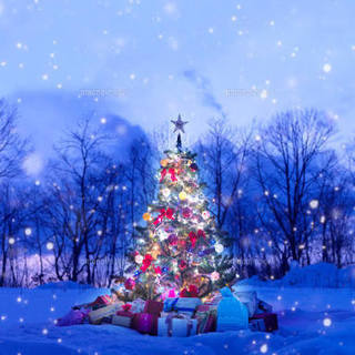 25日クリスマスなんて