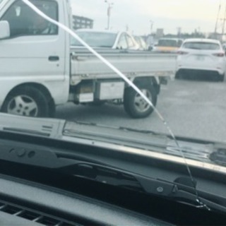 飛び石で割れてます…