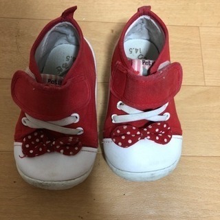 履けなくなったので