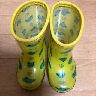 14センチ