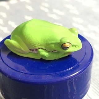 ガチャポン♪(ｼｭﾚｰｹﾞﾙｱｵｶﾞｴﾙ)