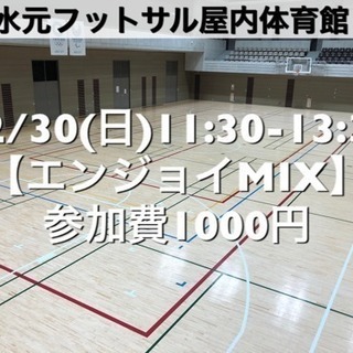 【エンジョイMIX】水元総合スポーツセンター　屋内体育館 12/...