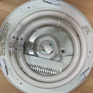 シールングライト 100V40W